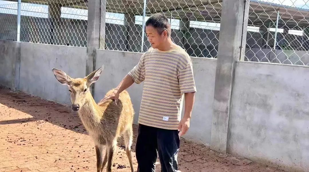 手机购彩软件